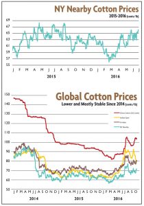 cottoncharts